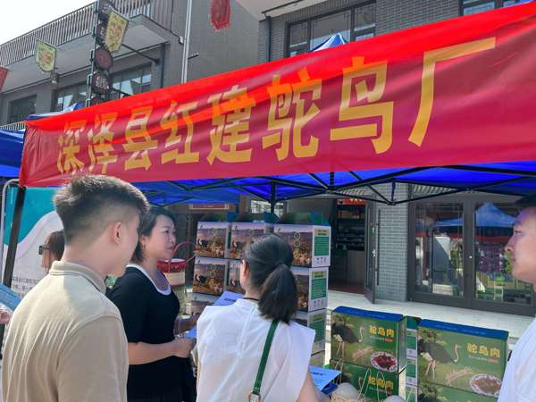 京石團隊選品.jpg